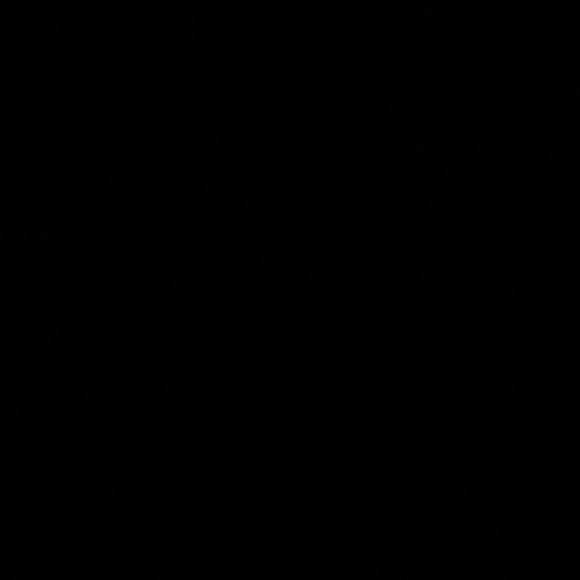 Meet your Posher, Anai - Picture 1 of 1